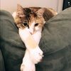 sassyy11